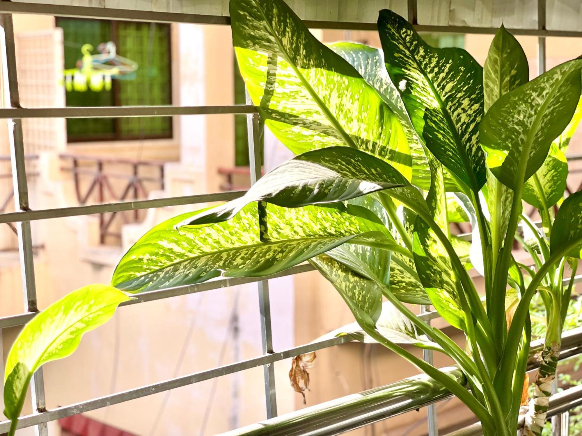 Sky Hotel Central Phnom Penh - Rooms & Apartments Екстер'єр фото